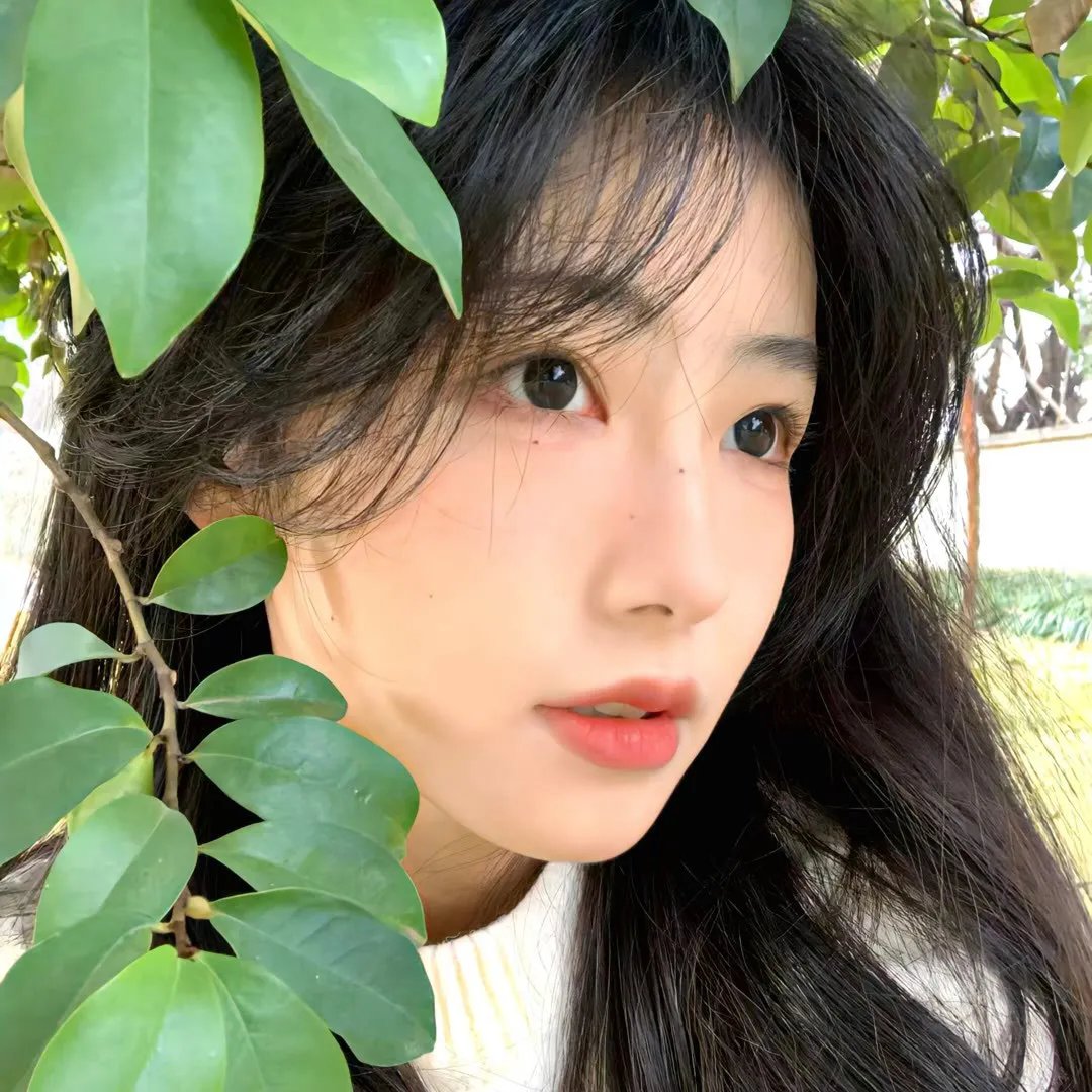 女人们